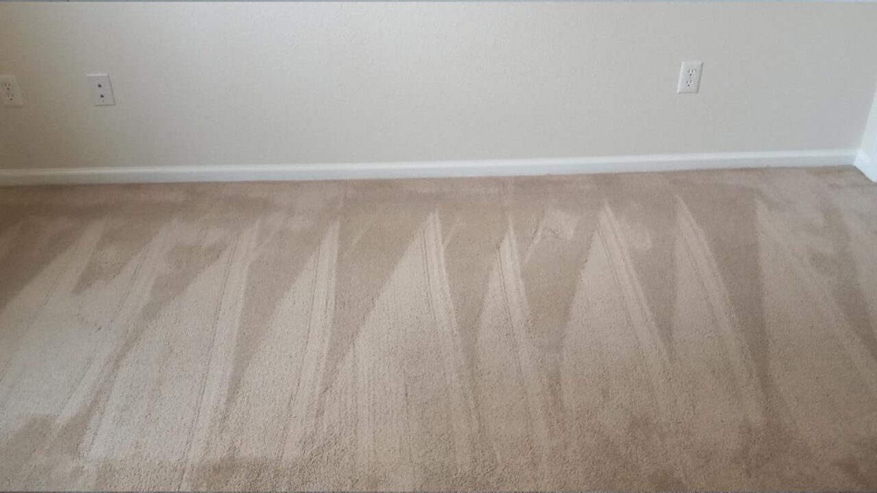 clean carpet with stain removed.