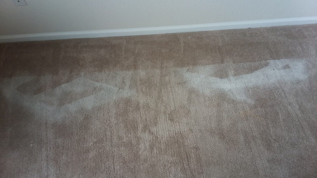 dirty carpet before cleaning.
